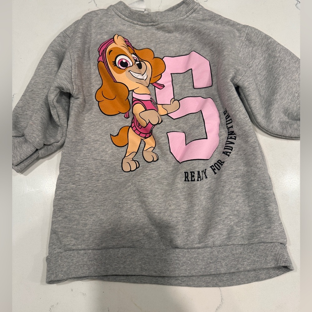Zara Paw Patrol Skye Sweater 2-3